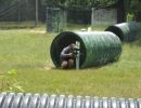 abhishek s bachelor party  6 13 26  