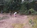 ander s bachelor party  9 26 26  