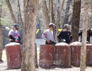 andy s paintball outing 5.6  