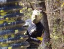 andy s paintball outing 5.6  