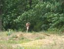 austin s bachelor party  8 14 26  