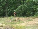 austin s bachelor party  8 14 26  