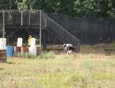 austin s bachelor party  8 21 26  