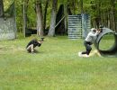bubba s bachelor party  5 23 26  