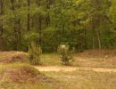 bubba s bachelor party  5 23 26  