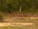 bubba s bachelor party  5 23 26  