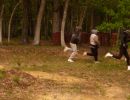 bubba s bachelor party  5 23 26  