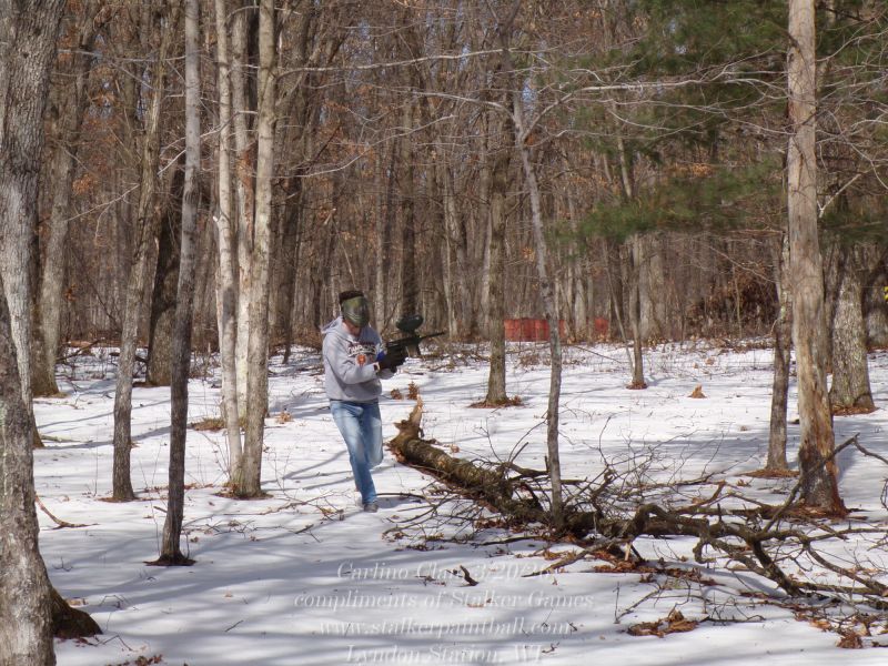 carlino clan 3 20 26  