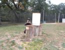 cj s bachelor party  9 25 26  