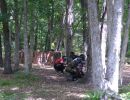 erich s bachelor party  6 20 26  