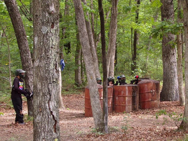 flynn s birthday bash  6 7 25  