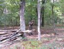 great wolf outing  8 21 26  