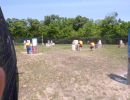 ham s bachelor party  5 31 25  