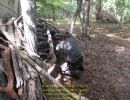 kodi s bachelor party  8 15 26  