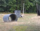 labelle bachelor party  8 14 26  
