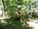 leach bachelor party  6 20 26  