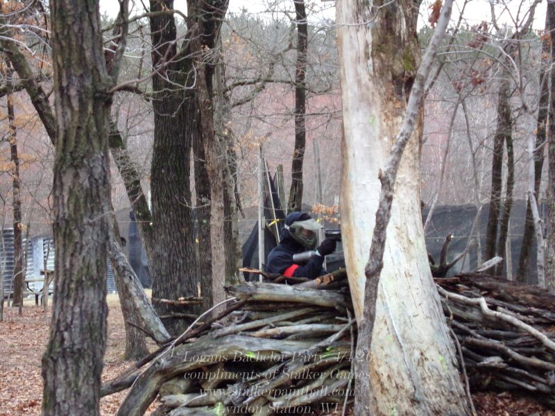 logans bachelor party 4 4 26  