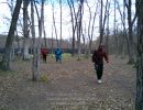 luke s bachelor party  5 2 26  