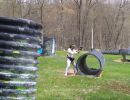 luke s bachelor party  5 2 26  