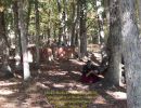 mack s bachelor party  10 03 26  