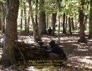 mack s bachelor party  10 03 26  