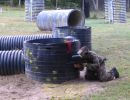 matt s bachelor party  9 12 26  