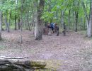 matt s bachelor party  9 12 26  