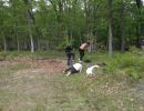 mav s bachelor party  5 22 26  