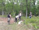 mav s bachelor party  5 22 26  