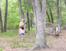 mav s bachelor party  5 22 26  