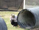 n.l.h.s. 4 24 26  