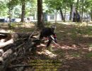 nick s bachelor party  8 22 26  