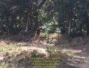 nick s bachelor party  8 22 26  