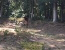 nick s bachelor party  8 22 26  
