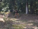 nick s bachelor party  8 22 26  