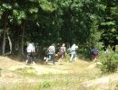 nick s bachelor studs  6 27 26  