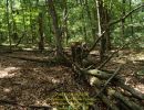path party  8 22 26  
