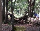 path party  8 22 26  