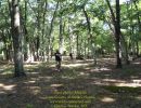 path party  8 22 26  