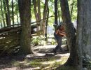 path party  8 22 26  