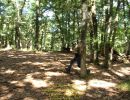 path party  8 22 26  