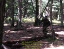 q s bachelor party  8 22 26  