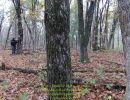 ryan s bachelor party  10.16.26  