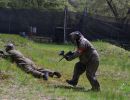 t.l.m.s  