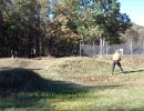 the eckel family october birthdays  10.17.26  