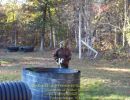 the eckel family october birthdays  10.17.26  