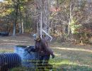 the eckel family october birthdays  10.17.26  