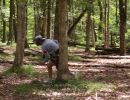 tmart s bachelor party 6 29 24  