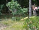 tom s bachelor party  8 20 26  