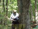 tom s bachelor party  8 20 26  